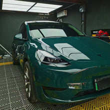 PET Mohsen Green Vinyl Wrap