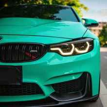 PET Crystal Vintage Green Vinyl Wrap