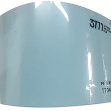 PET Paint Muriwai White Vinyl Wrap