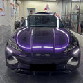 TPU Paint Metallic Midnight Purple