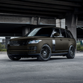 60" The Gold Rush Protective Color Change Wrap