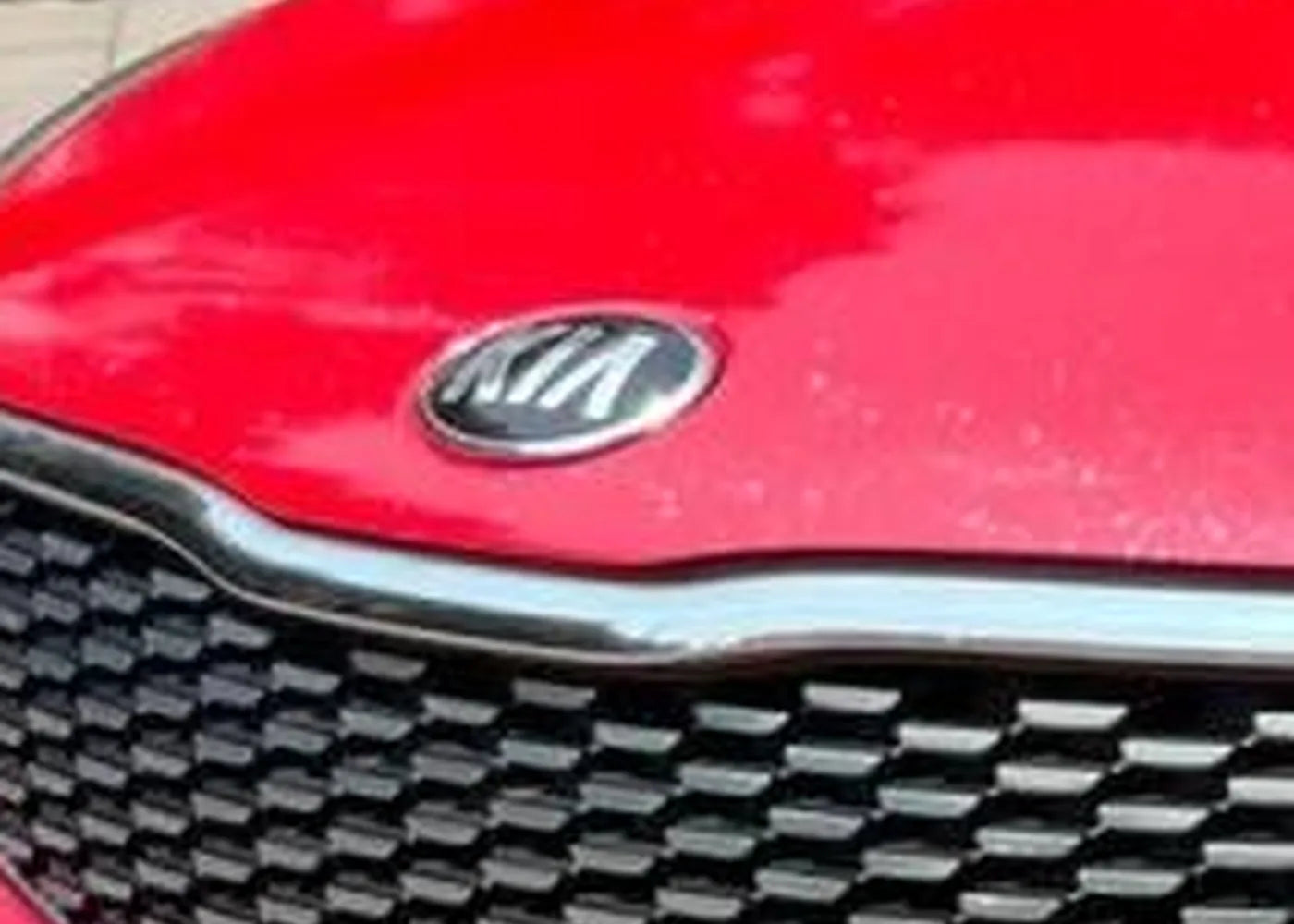 PET Tourmalie Red Vinyl Wrap